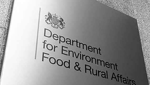 Influenza of avian origin confirmed in a sheep in Yorkshire